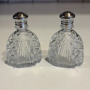 Crystal Salt and Pepper Shaker Set with Silver Tops